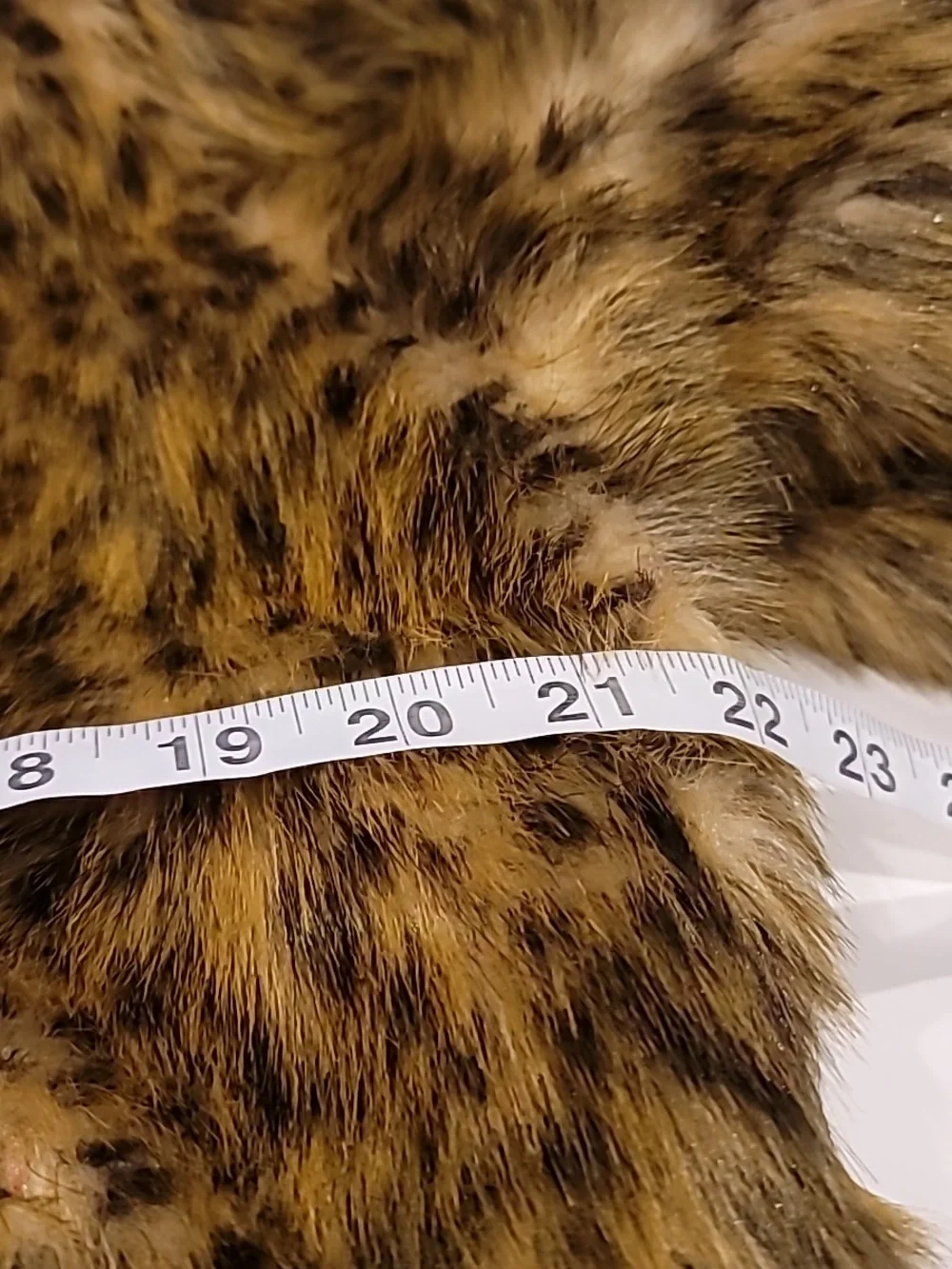 BHS Women's Faux Fur Teddy Coat - Brown Leopard Print Large